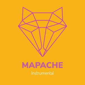 Mapache