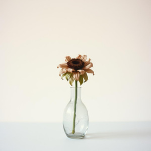 Incompatibility