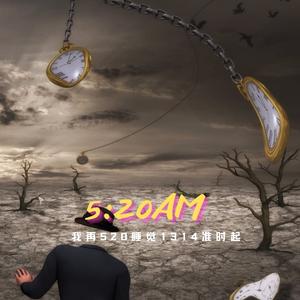 5:20AM（我在5: 20睡觉13:  14准时起）