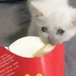 赤ティン-哨！戒！班！（墨兰 remix）