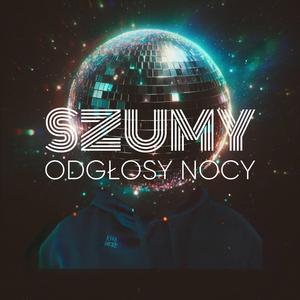 Odgłosy Nocy