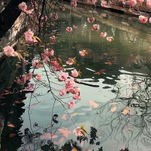 夜色中的柔情