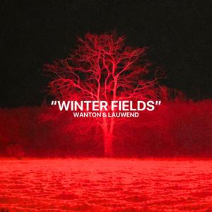WINTER FIELDS (Radio Edit)