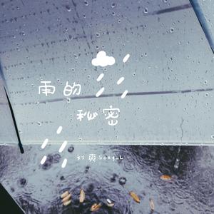 雨的秘密