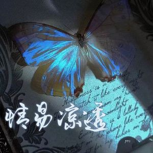 情易凉透（0.86慢速版）