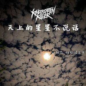 天上的星星不说话