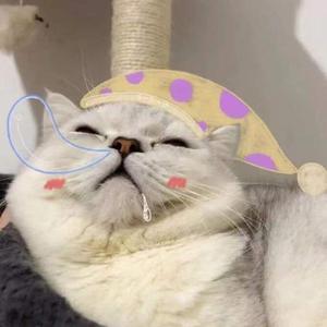 这把让你先赢好吧