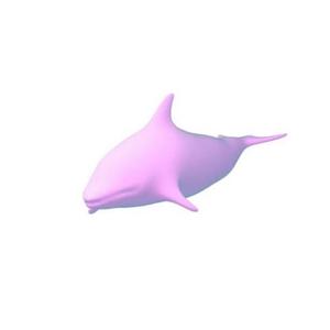 Whales fall