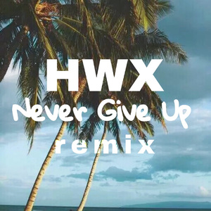 Jonae-Never Give Up (Tropical House Remix)（何维鑫/Jonae Remix）