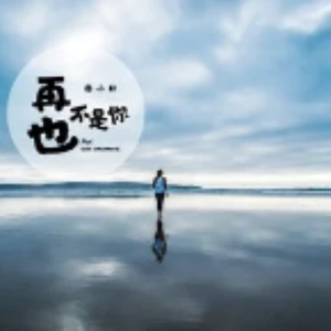 再也不是你（抖音热播）