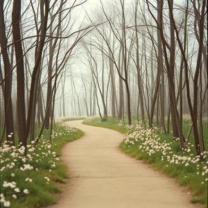 나아가는 길 (The Path Ahead) v3