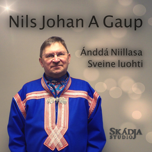 Ánddá Niillasa Sveine