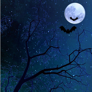 有一位姑娘 伴奏