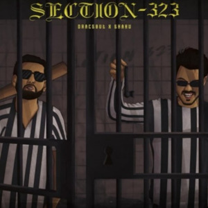 Section 323