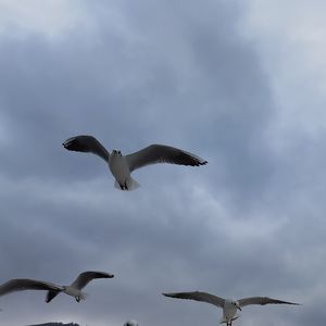 熊天平-愚人码头 2025（三季道 remix）