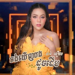 ចង់ឃើញបងដូចដើម-Remix