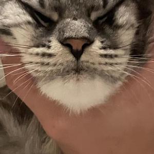 我的Medly (3月 26, 2022)