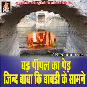 बड़ पीपल का पेड़ जिन्द बाबा की बावड़ी के सामने || जिन्द बाबा भजन