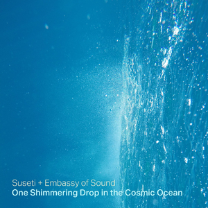 One Shimmering Drop in the Cosmic Ocean
