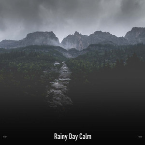 Light Rains In The Forest