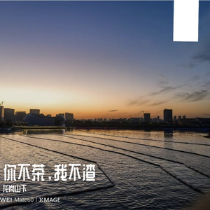 你不茶，我不渣