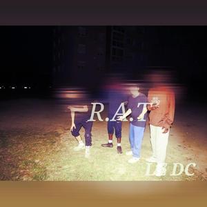 fraternel