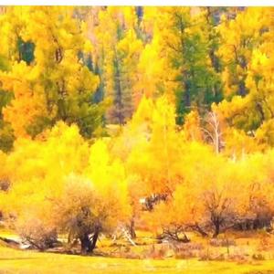 火火的爱（新版）