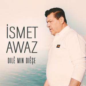 Dilê Min Diêşe