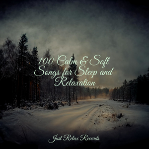 Tranquil Veil of Silence