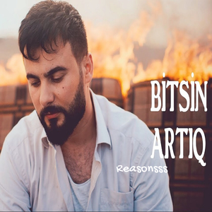 Bitsin Artiq