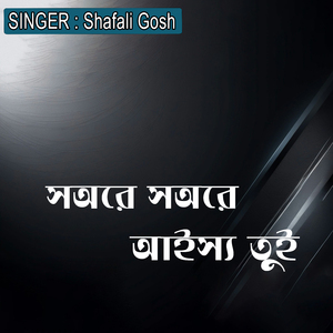 সঅরে সঅরে আইস্য তুই