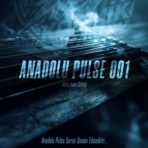 Anadolu Pulse 001