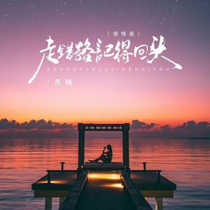 走错路记得回头 (领悟版)