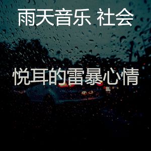 抚慰的雨回忆