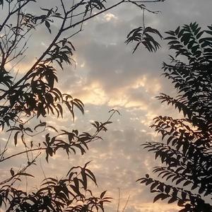 下坠(Prod.Slide)