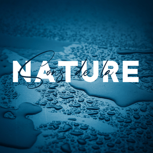 Pluie de montagne dans le brouillard