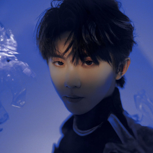 口袋的天空 (2023廿一生日直播现场)