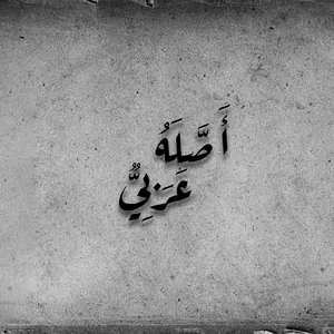 Wam (Asslo Araby Round 2)