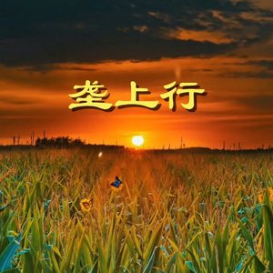 垄上行