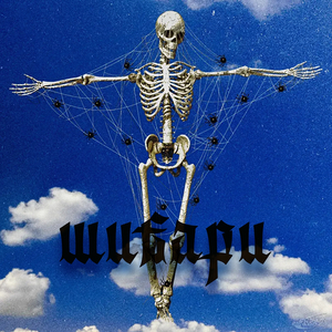 Шибари