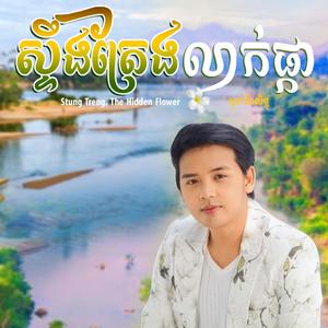 ស្ទឹងត្រែងលាក់ផ្កា - Stung Treng, the hidden flower