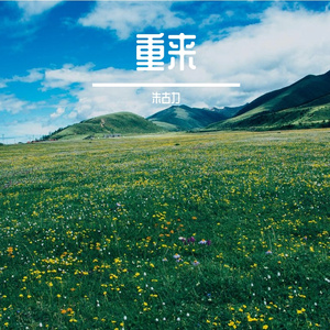 手机光