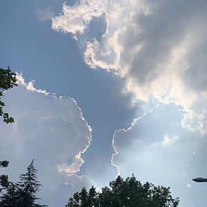 爱的热烈第八部