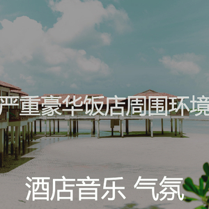 一尘不染音乐印象数