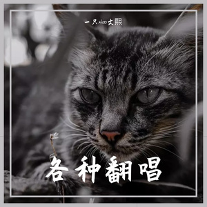 盗墓笔记·十年人间