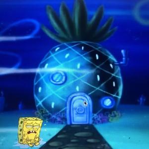 海绵（Sponge）
