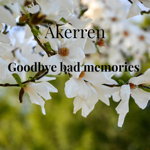 Goodbye bad memories