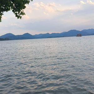 背影中的光_二八大杠