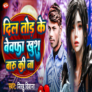 Dil Tor Ke Bewafa Khush Baru Ki Na