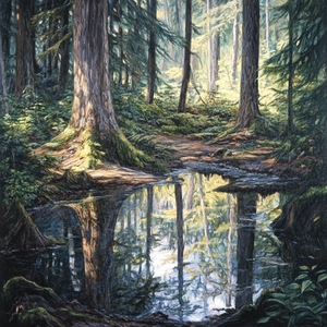 杉林低语(轻音乐版)